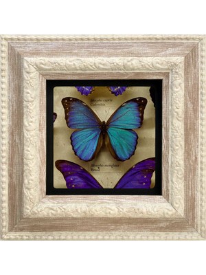 Oscar Stone Decor Çerçeveli Taş Duvar Tablosu