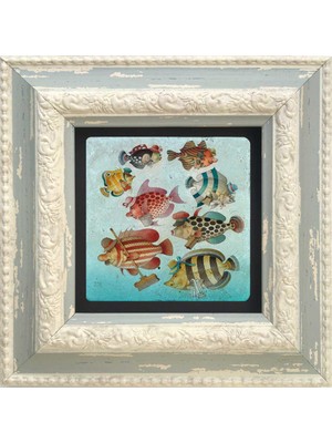 Oscar Stone Decor Çerçeveli Taş Duvar Tablosu