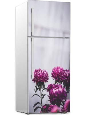 Renkselart Buz Dolabı Beyaz Eşya Sticker 008