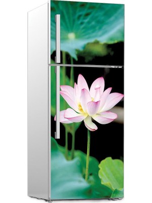 Renkselart Buz Dolabı Beyaz Eşya Sticker 013