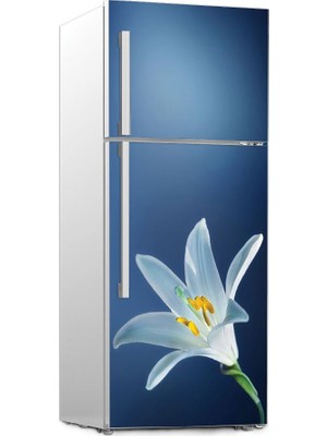 Renkselart Buz Dolabı Beyaz Eşya Sticker 023