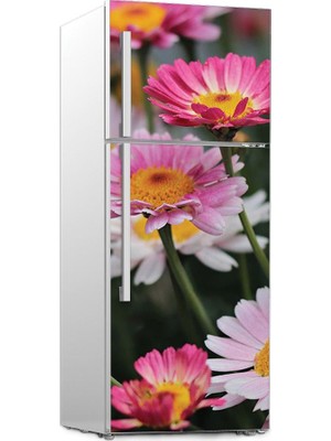 Renkselart Buz Dolabı Beyaz Eşya Sticker 030