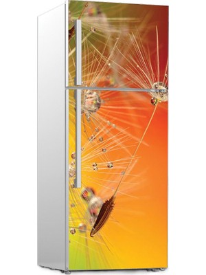 Renkselart Buz Dolabı Beyaz Eşya Sticker 036