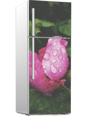 Renkselart Buz Dolabı Beyaz Eşya Sticker 037