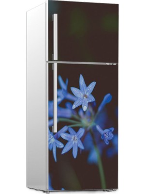 Renkselart Buz Dolabı Beyaz Eşya Sticker 042