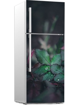 Renkselart Buz Dolabı Beyaz Eşya Sticker 043