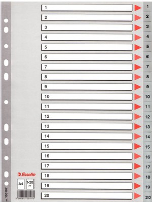Esselte Separatör A4 1-20 Rakam Gri 100107