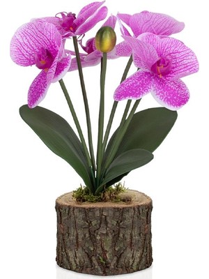 Çiçekmisin Doğal Kütük Saksıda Yapay Islak Orkide