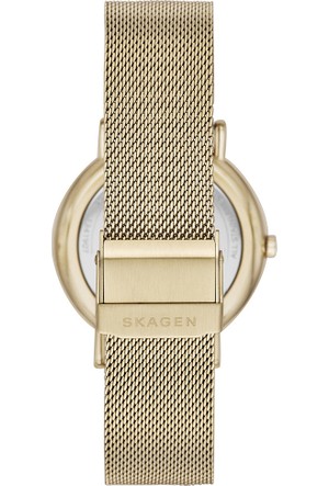Altin Skagen Kadin Saat 35 Indirimli 450 Tl Modacruz