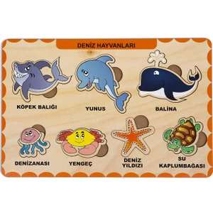 Deniz Hayvanları Bul - Tak
