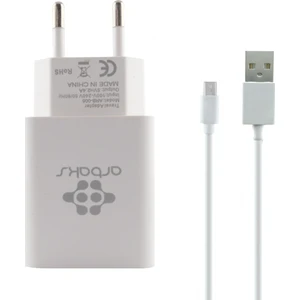 ARB-005 Plastik 2400 mAh 2 Çıkışlı + Micro Usb Data Kablo Ev Tipi Şarj Cihazı
