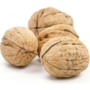 YENİ MAHSÜL CHANDLER KABUKLU CEVİZ  1 kg