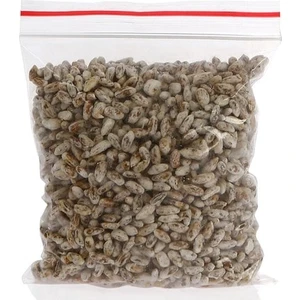 Beyaz Şapkalı Kültür Mantarı Tohumu 100 gr