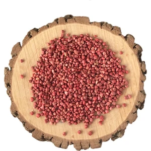 Ispanak Tohumu | 50 G