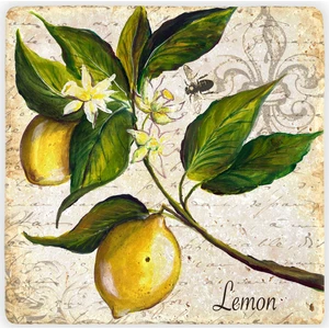 Oscar Stone Decor Doğaltaş Duvar Dekoru