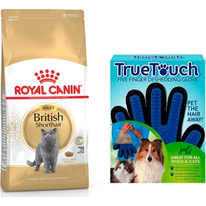 Royal Canin Adult Yetişkin British Shorthair Kedi Maması 2 kg + Bobo Touch Kedi Tüy Toplama Eldiveni