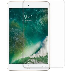 Apple iPad 7. Nesil 10.2" Temperli Ekran Koruyucu