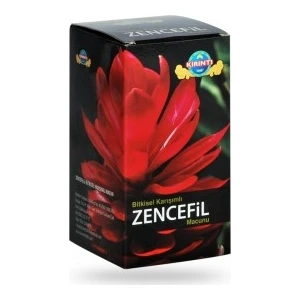 Zencefil Macunu Mentollü 230 gr