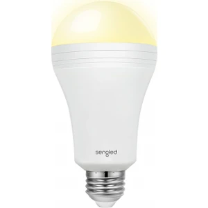 LED Lamba Everbright Acil Durum
