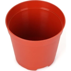 Uzay Bahçesi Kaktüs Saksısı 8,5 cm 20'li