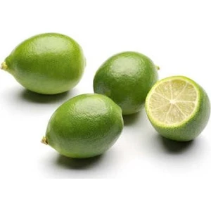 Uzay Bahçesi Lime Misket Limon Fidanı