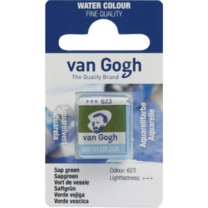Van Gogh 1/2 Tablet Sulu Boya 623 Sap Green