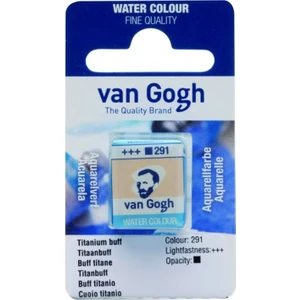 Van Gogh 1/2 Tablet Sulu Boya 291 Titanium Buff