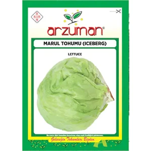Iceberg Marul Marul 5 gr