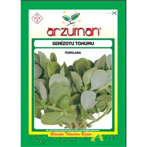 Semizotu Iri Yapraklı 10 gr