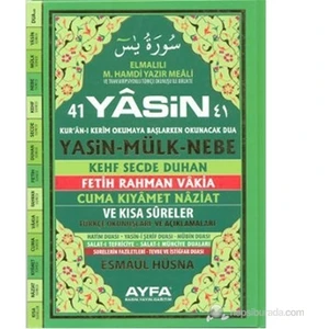 41 Yasin Türkçe Meali