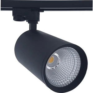 Led Pazarı 30 Watt Ray Spot