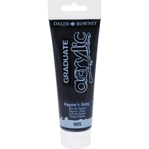 Daler Rowney Akrilik Boya 120 ML-065 Paynes Grey