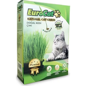 Eurocat Premium Class Kedi Çimi