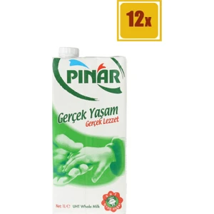 1/1 Süt 12'li Set