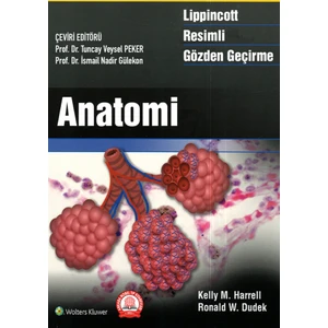 Lippincott Anatomi Resimli Gözden Geçirme