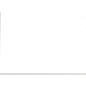 Evy Baby  Bebek Şampuanı 250 ML