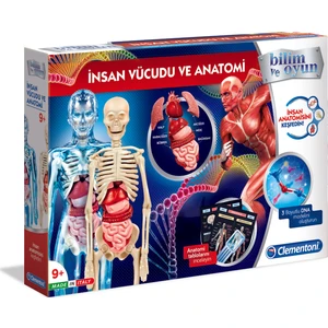 Bilim ve Oyun - İnsan Vücudu