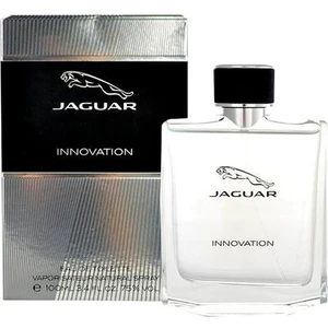 Innovatıon Edt 100 ml Erkek Parfüm