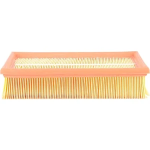 Bsg Ford Escort Clx Hava Filtresi 91FF9601AA 1995-2001
