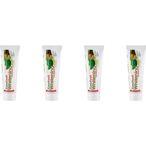 Diş Macunu - Eurofresh Misvaklı 25 gr 4 Adet