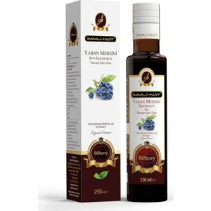 Yaban Mersini Sıvı Ekstraktı 250 ml