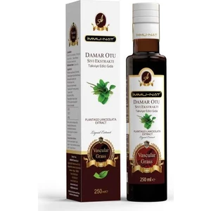 Damar Otu Sıvı Ekstraktı 250 ml