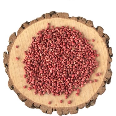 Gourmeturk Ispanak Tohumu | 50