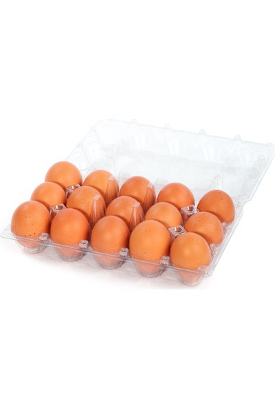 Viyolpazarı 15 'li Plastik Yumurta Viyolü 300 Adet
