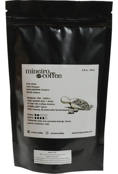 Mineiro Coffee Etiyopya Sidamo Filtre Kahve 250 gr. Moka Pot