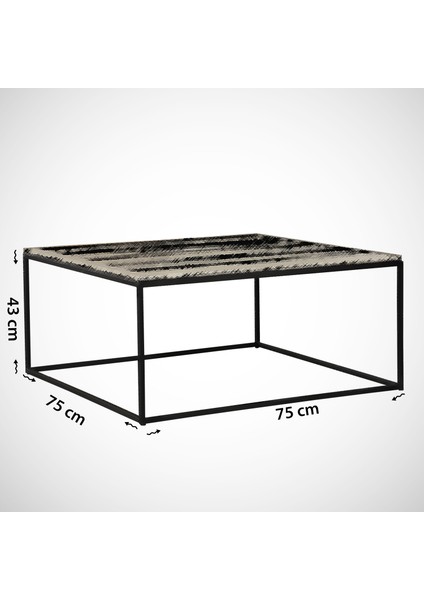 Poly Metal Orta Sehpa, Kare Orta Sehpa, Beyaz Meşe