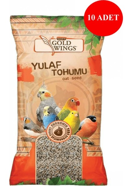 Gold Wings Kuş Tamamlayıcı Ek Besin Yulaf 300 gr x 10 Adet