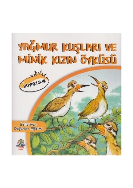 Geliştiren Değerler Eğitimiduyarlılıkyağmur Kuşları Ve Minik Kızın Öyküsü - Mahmut Yılmaz