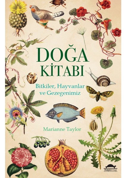 Doğa Kitabı - Marianne Taylor