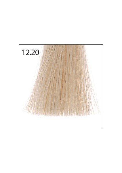 Kalıcı Saç Boyası 12.20 Sl Blonde Vıolet Natural fiyatları